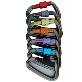 Aluminum Carabiner Clips 5 Pack  D Shape, Keychain Buckles D-Ring Locking Carabiner Light but Strong